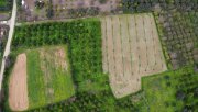 Stilos Kreta, Stilos: Charmantes ländliches Grundstück mit Bergblick zu verkaufen Grundstück kaufen
